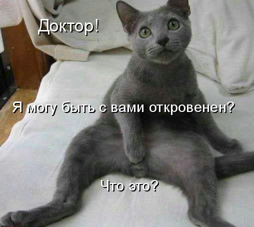 Кот спрашивает у врача интимный вопрос :-)