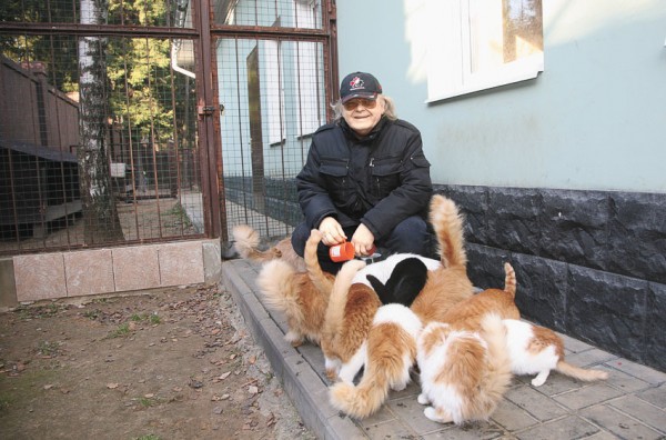 Юрий Антонов с кошками