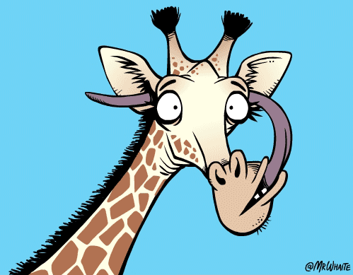 Жираф может достать языком до своего уха