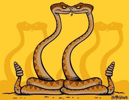 Скопление гремучих змей называют румбой