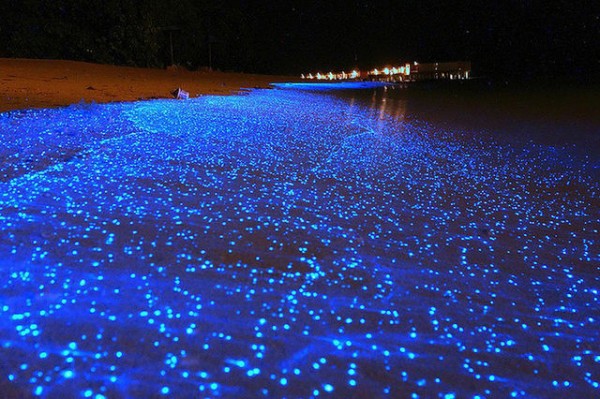 красота ночных пляжей Мальдив