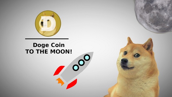 doge fly to the moon