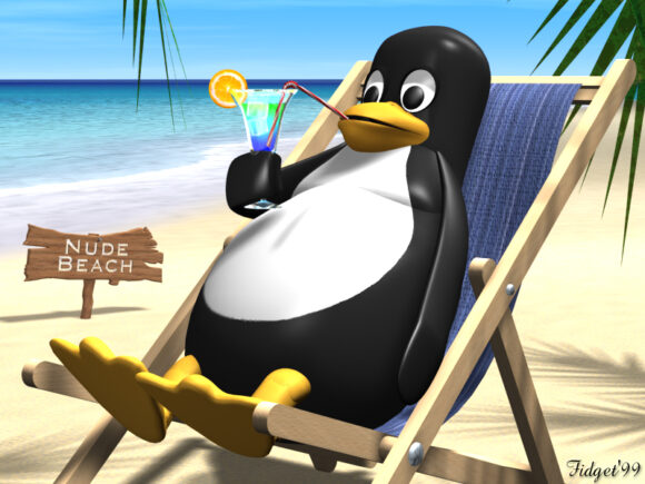 linux, пингвин на пляже